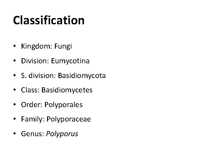 Classification • Kingdom: Fungi • Division: Eumycotina • S. division: Basidiomycota • Class: Basidiomycetes