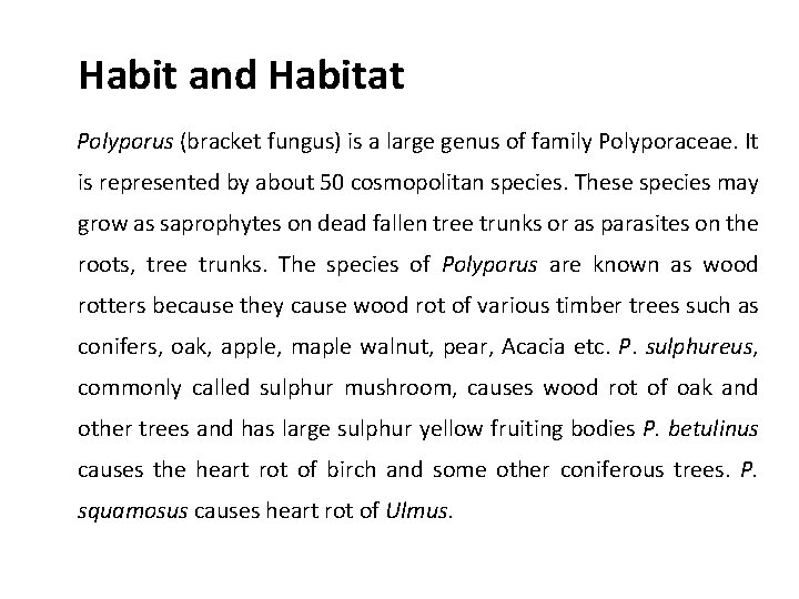 Habit and Habitat Polyporus (bracket fungus) is a large genus of family Polyporaceae. It
