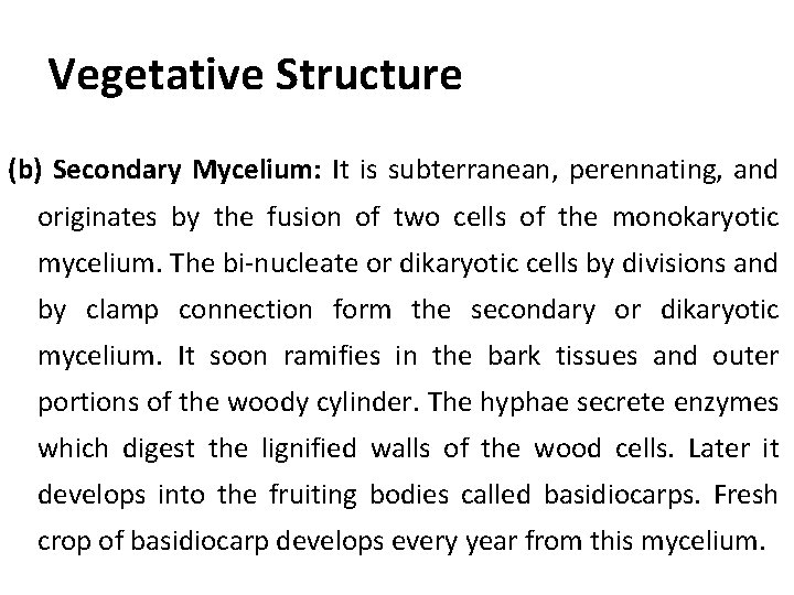 Vegetative Structure (b) Secondary Mycelium: It is subterranean, perennating, and originates by the fusion