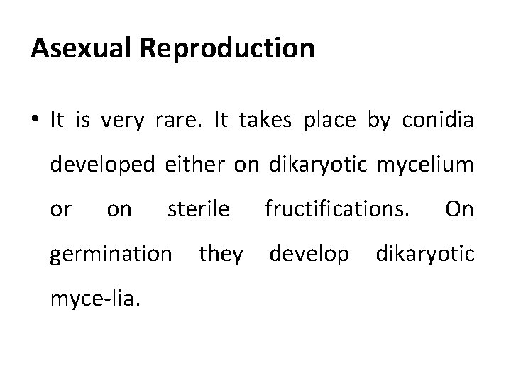 Asexual Reproduction • It is very rare. It takes place by conidia developed either