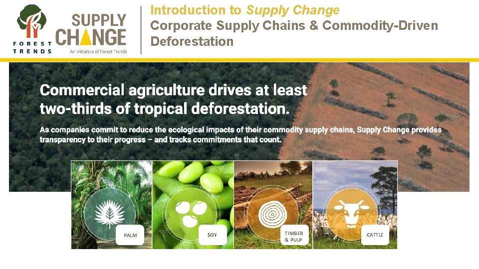 Introduction to Supply Change Corporate Supply Chains & Commodity-Driven Deforestation PALM SOY TIMBER & Introduction to Supply Change Corporate Supply Chains & Commodity-Driven Deforestation PALM SOY TIMBER &