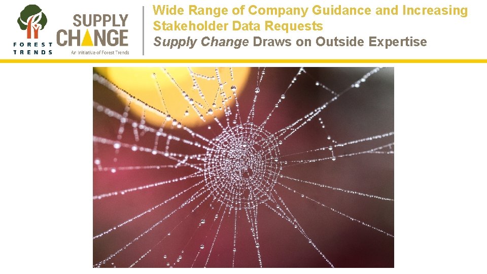 Wide Range of Company Guidance and Increasing Stakeholder Data Requests Supply Change Draws on Wide Range of Company Guidance and Increasing Stakeholder Data Requests Supply Change Draws on