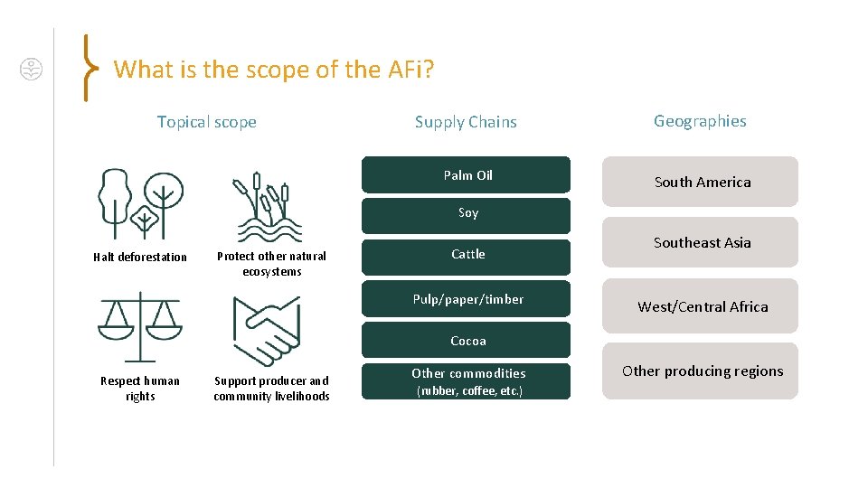 What is the scope of the AFi? Topical scope Supply Chains Geographies Palm Oil What is the scope of the AFi? Topical scope Supply Chains Geographies Palm Oil