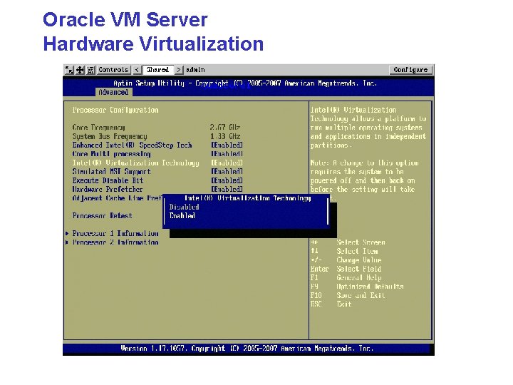 Oracle VM Server Hardware Virtualization 