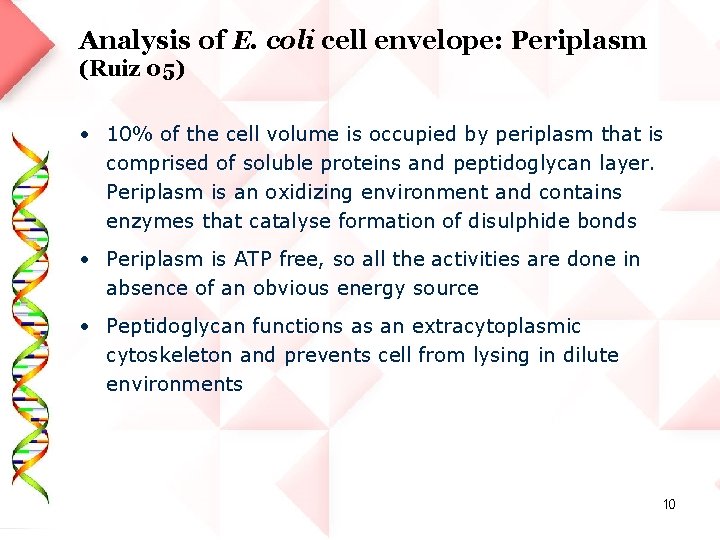 Analysis of E. coli cell envelope: Periplasm (Ruiz 05) • 10% of the cell