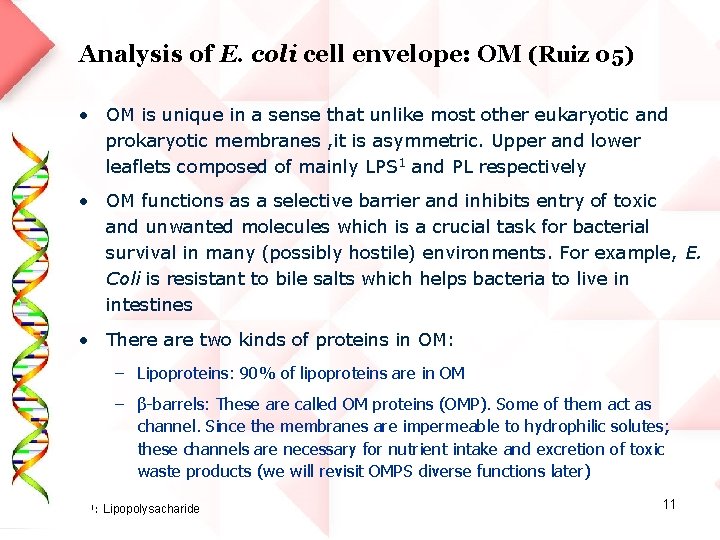 Analysis of E. coli cell envelope: OM (Ruiz 05) • OM is unique in