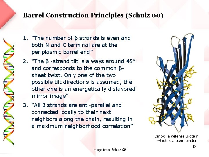 Barrel Construction Principles (Schulz 00) 1. “The number of β strands is even and