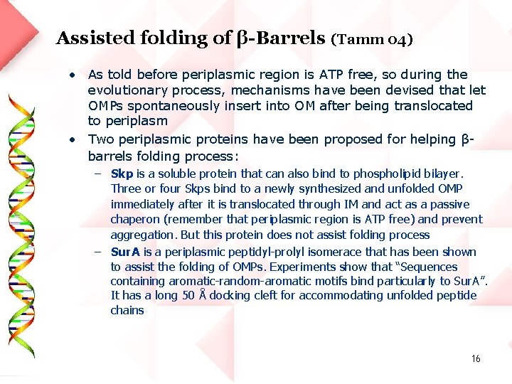 Assisted folding of β-Barrels (Tamm 04) • As told before periplasmic region is ATP