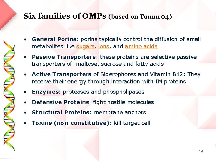 Six families of OMPs (based on Tamm 04) • General Porins: porins typically control