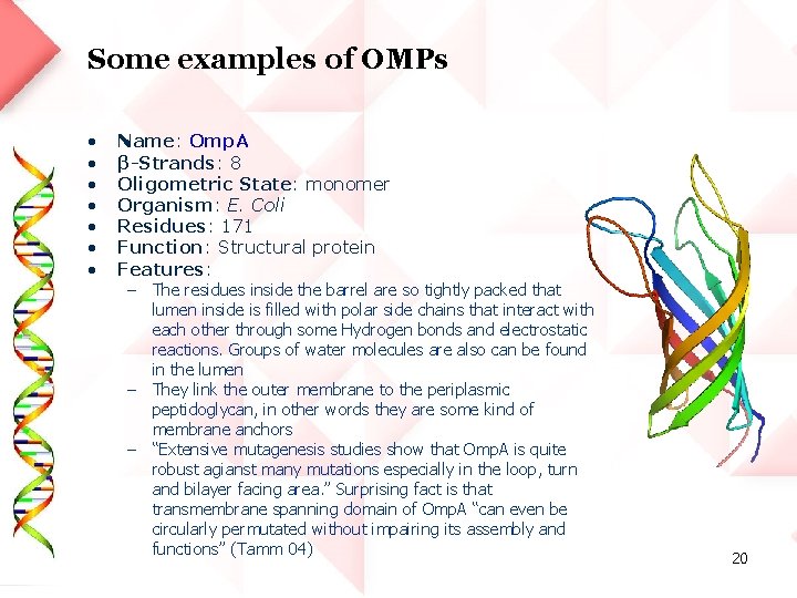 Some examples of OMPs • • Name: Omp. A β-Strands: 8 Oligometric State: monomer