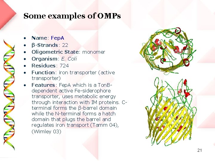 Some examples of OMPs • • Name: Fep. A β-Strands: 22 Oligometric State: monomer