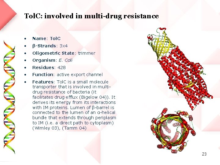 Tol. C: involved in multi-drug resistance • Name: Tol. C • β-Strands: 3 x