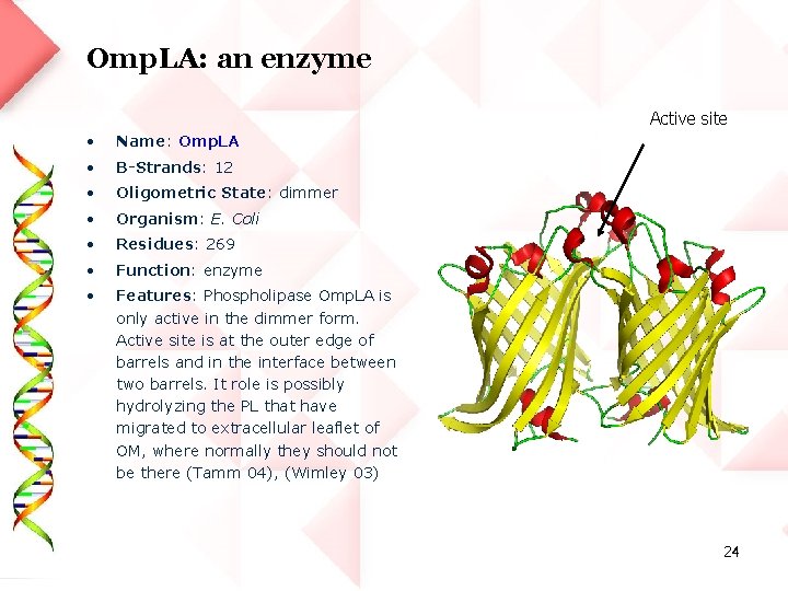 Omp. LA: an enzyme Active site • Name: Omp. LA • Β-Strands: 12 •