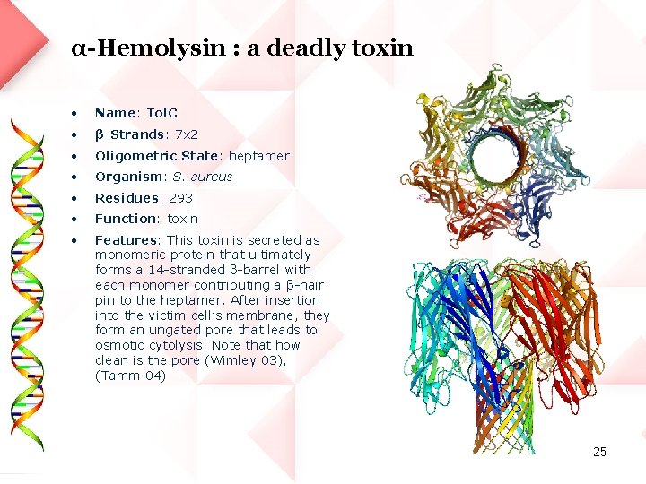 α-Hemolysin : a deadly toxin • Name: Tol. C • β-Strands: 7 x 2