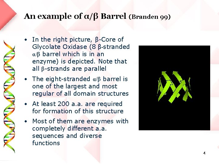 An example of α/β Barrel (Branden 99) • In the right picture, β-Core of