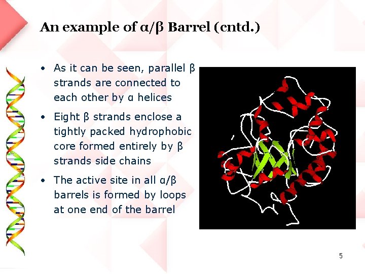 An example of α/β Barrel (cntd. ) • As it can be seen, parallel