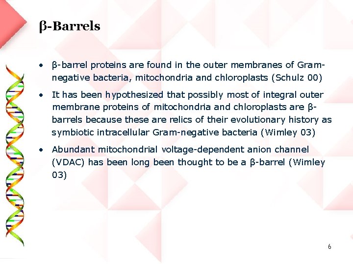 β-Barrels • β-barrel proteins are found in the outer membranes of Gramnegative bacteria, mitochondria