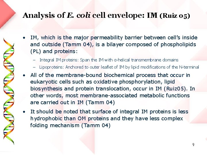 Analysis of E. coli cell envelope: IM (Ruiz 05) • IM, which is the