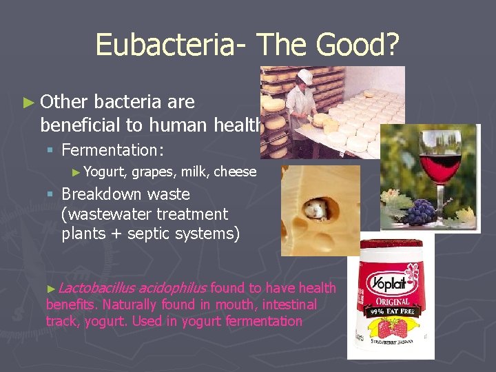 Eubacteria- The Good? ► Other bacteria are beneficial to human health: § Fermentation: ►