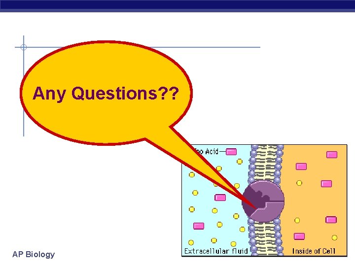 Any Questions? ? AP Biology 