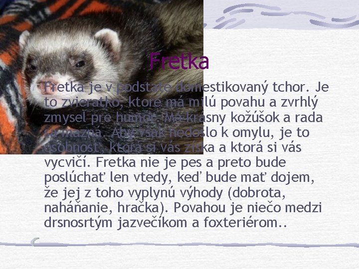 Fretka je v podstate domestikovaný tchor. Je to zvieratko, ktoré má milú povahu a