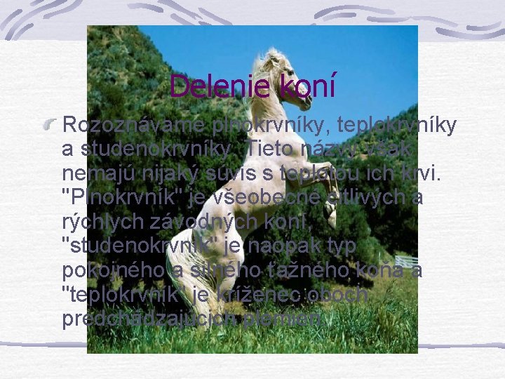 Delenie koní Rozoznávame plnokrvníky, teplokrvníky a studenokrvníky. Tieto názvy však nemajú nijaký súvis s