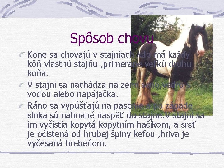 Spôsob chovu Kone sa chovajú v stajniach kde má každy kôň vlastnú stajňu ,
