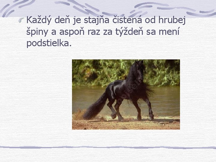 Každý deň je stajňa čistená od hrubej špiny a aspoň raz za týždeň sa