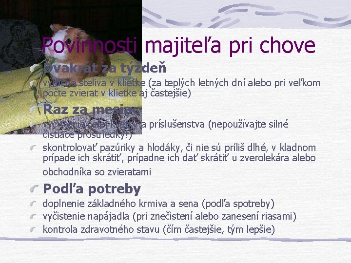 Povinnosti majiteľa pri chove Dvakrát za týždeň výmena steliva v klietke (za teplých letných