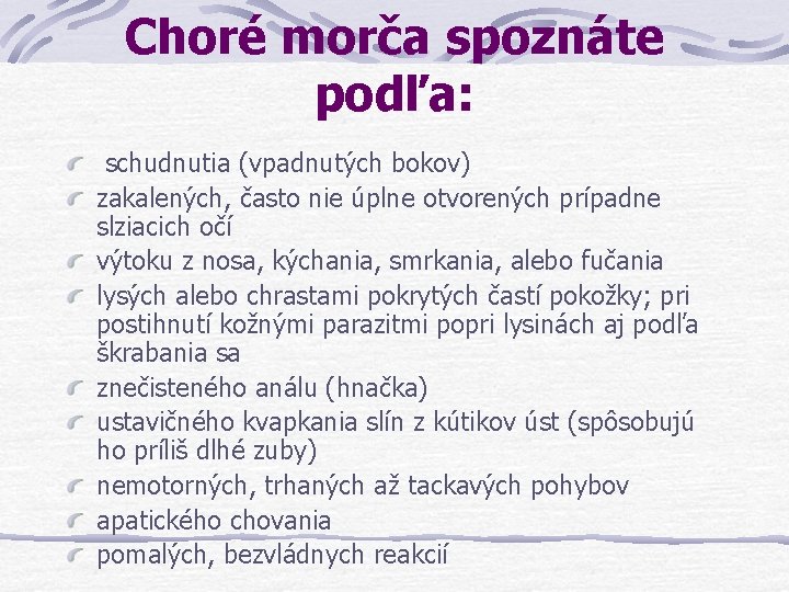 Choré morča spoznáte podľa: schudnutia (vpadnutých bokov) zakalených, často nie úplne otvorených prípadne slziacich