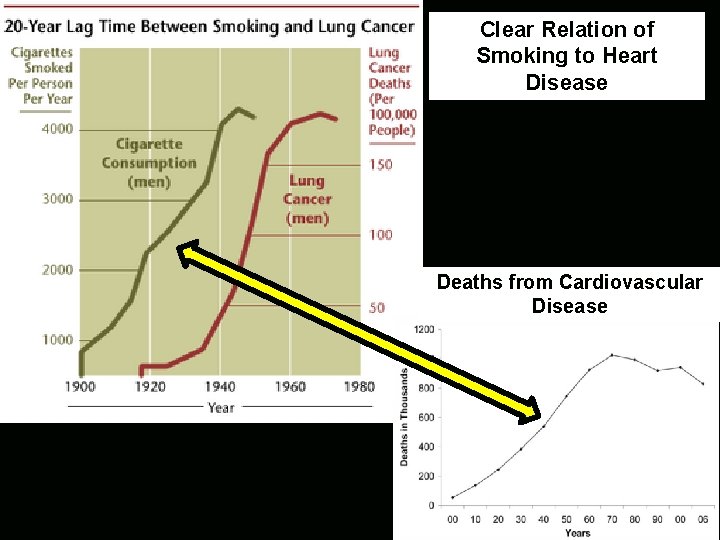 Clear Relation of Smoking to Heart Disease Deaths from Cardiovascular Disease 