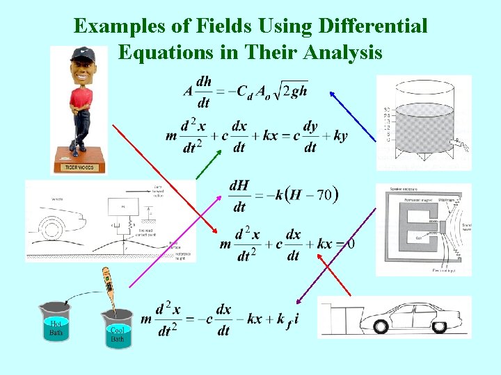 Examples of Fields Using Differential Equations in Their Analysis 