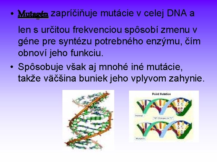  • Mutagén zapríčiňuje mutácie v celej DNA a len s určitou frekvenciou spôsobí