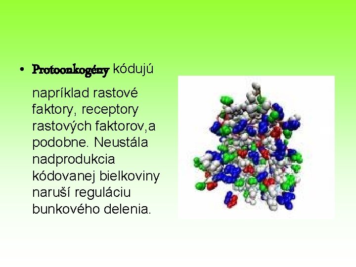  • Protoonkogény kódujú napríklad rastové faktory, receptory rastových faktorov, a podobne. Neustála nadprodukcia