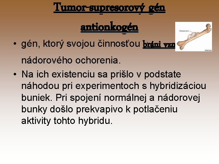 Tumor-supresorový gén antionkogén • gén, ktorý svojou činnosťou bráni vzniku nádorového ochorenia. • Na