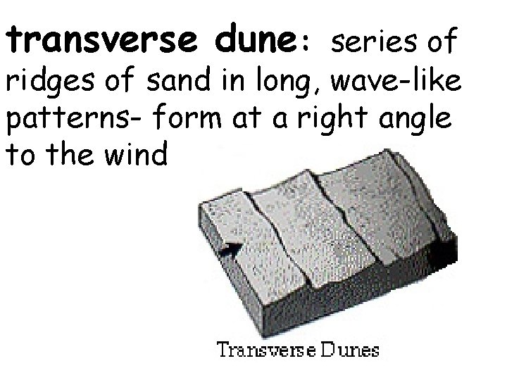 transverse dune: series of ridges of sand in long, wave-like patterns- form at a