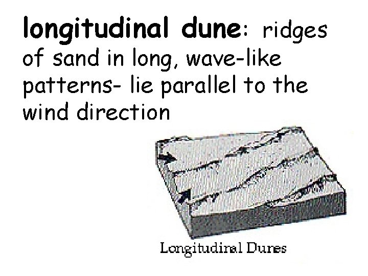 longitudinal dune: ridges of sand in long, wave-like patterns- lie parallel to the wind