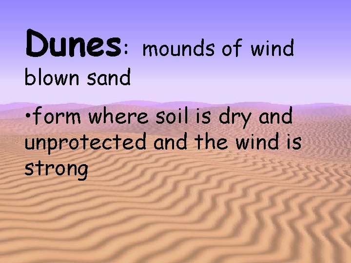 Dunes: blown sand mounds of wind • form where soil is dry and unprotected