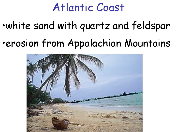 Atlantic Coast • white sand with quartz and feldspar • erosion from Appalachian Mountains