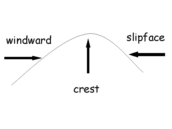 slipface windward crest 