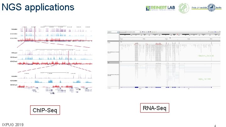 NGS applications Ch. IP-Seq IXPUG 2019 RNA-Seq 4 