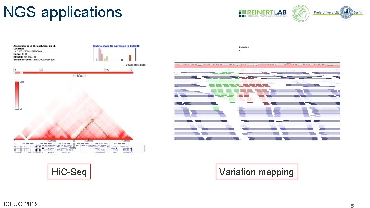 NGS applications Hi. C-Seq IXPUG 2019 Variation mapping 5 