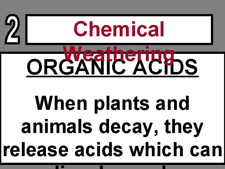 Chemical Weathering ORGANIC ACIDS When plants and animals decay, they release acids which can