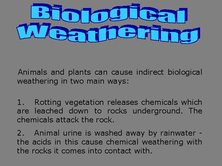 Animals and plants can cause indirect biological weathering in two main ways: 1. Rotting