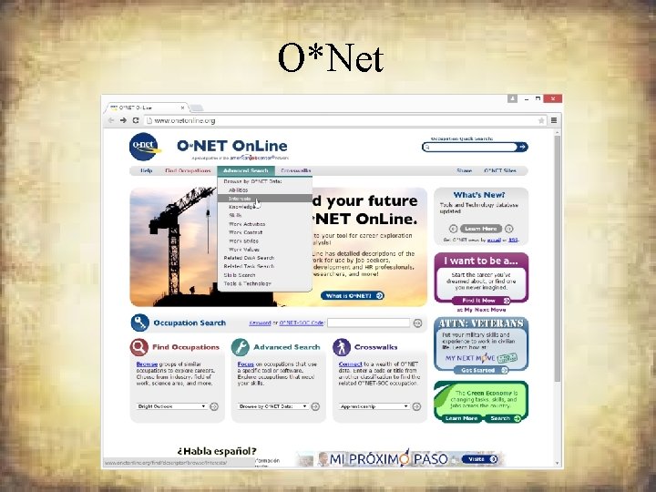 O*Net 