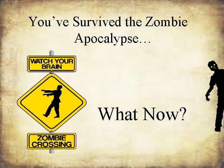 You’ve Survived the Zombie Apocalypse… What Now? 