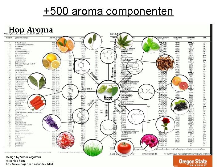 +500 aroma componenten 