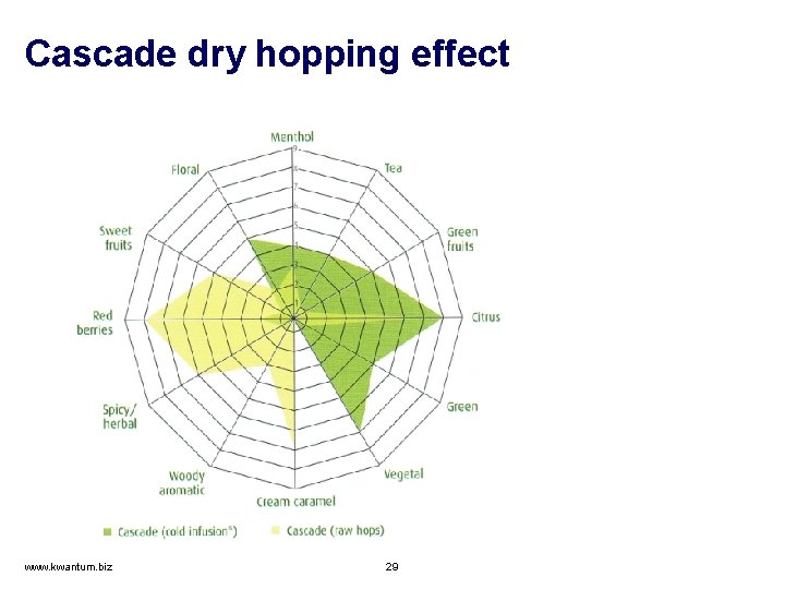 Cascade dry hopping effect www. kwantum. biz 29 