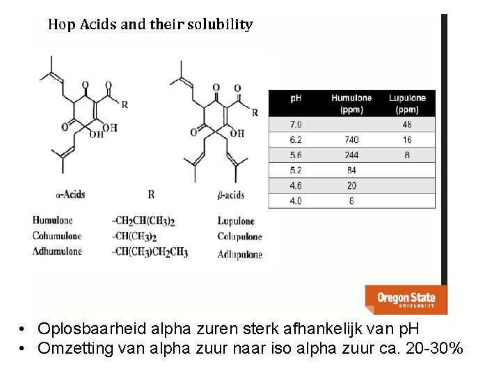  • Oplosbaarheid alpha zuren sterk afhankelijk van p. H • Omzetting van alpha