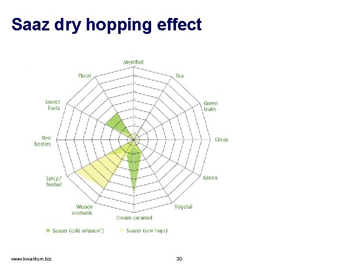 Saaz dry hopping effect www. kwantum. biz 30 